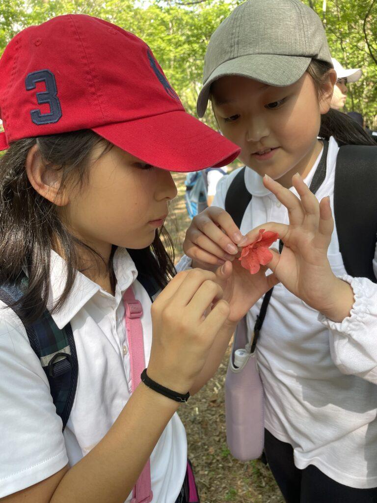 花の蜜、どんな味かな？